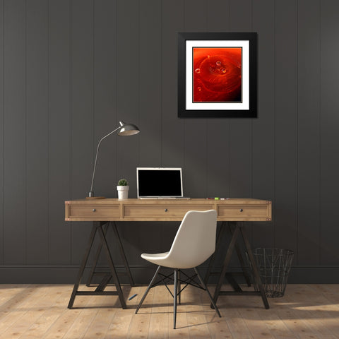 Red Drink Drop I Black Modern Wood Framed Art Print with Double Matting by Putman, Tammy