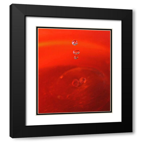 Red Drink Drop II Black Modern Wood Framed Art Print with Double Matting by Putman, Tammy