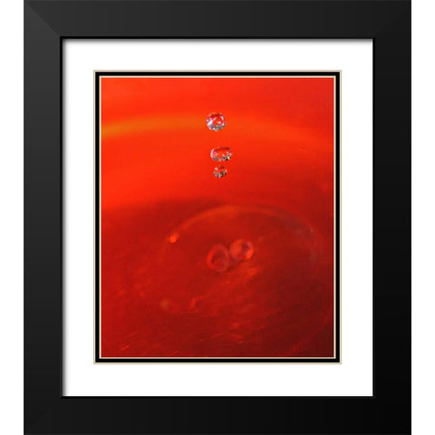 Red Drink Drop II Black Modern Wood Framed Art Print with Double Matting by Putman, Tammy