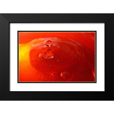 Red Drink Drop III Black Modern Wood Framed Art Print with Double Matting by Putman, Tammy