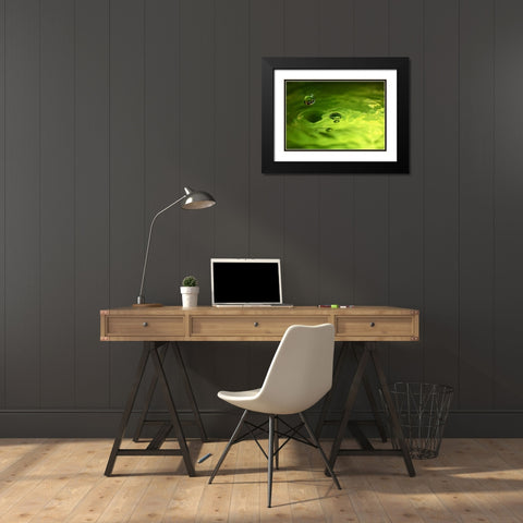 Lemon Lime Drop I Black Modern Wood Framed Art Print with Double Matting by Putman, Tammy