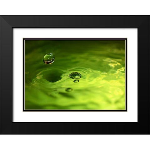 Lemon Lime Drop I Black Modern Wood Framed Art Print with Double Matting by Putman, Tammy