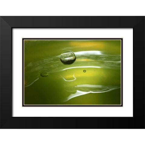 Lemon Lime Drop II Black Modern Wood Framed Art Print with Double Matting by Putman, Tammy