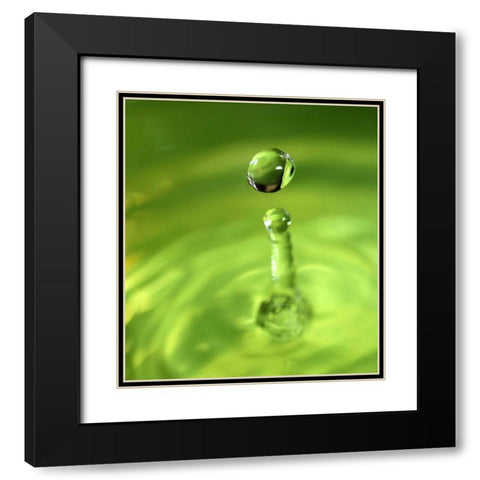 Lemon Lime Drop III Black Modern Wood Framed Art Print with Double Matting by Putman, Tammy