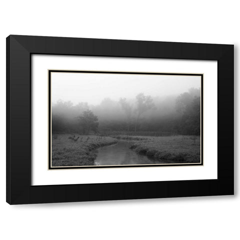 Creek in Fog I Black Modern Wood Framed Art Print with Double Matting by Putman, Tammy