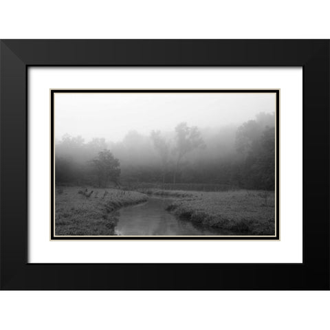 Creek in Fog I Black Modern Wood Framed Art Print with Double Matting by Putman, Tammy