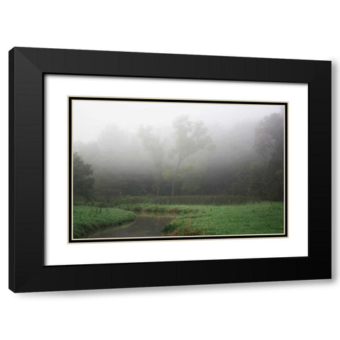 Creek in Fog II Black Modern Wood Framed Art Print with Double Matting by Putman, Tammy
