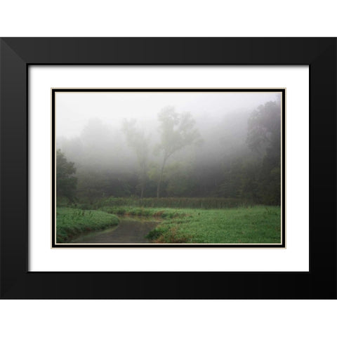 Creek in Fog II Black Modern Wood Framed Art Print with Double Matting by Putman, Tammy