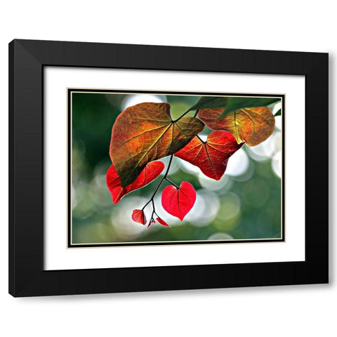 Red Black Modern Wood Framed Art Print with Double Matting by Putman, Tammy