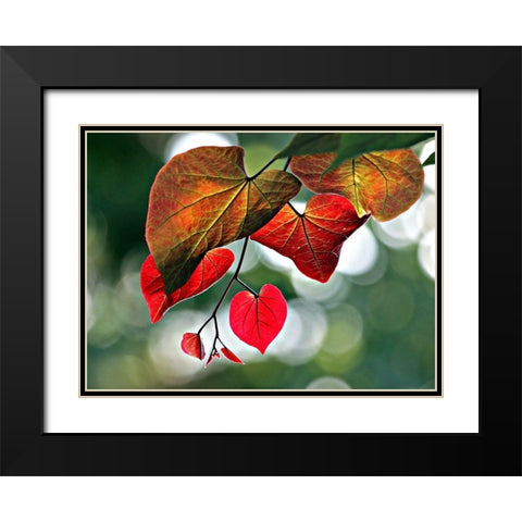 Red Black Modern Wood Framed Art Print with Double Matting by Putman, Tammy