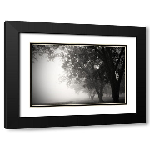 Morning Walk Black Modern Wood Framed Art Print with Double Matting by Putman, Tammy