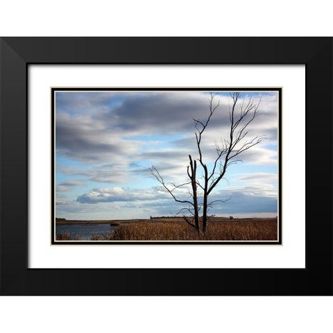 Dakota View Black Modern Wood Framed Art Print with Double Matting by Putman, Tammy