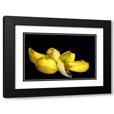 Pieces Black Modern Wood Framed Art Print with Double Matting by Putman, Tammy