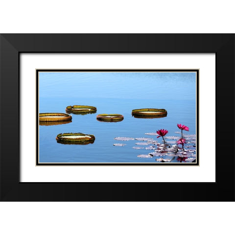 Lily Pads Black Modern Wood Framed Art Print with Double Matting by Putman, Tammy