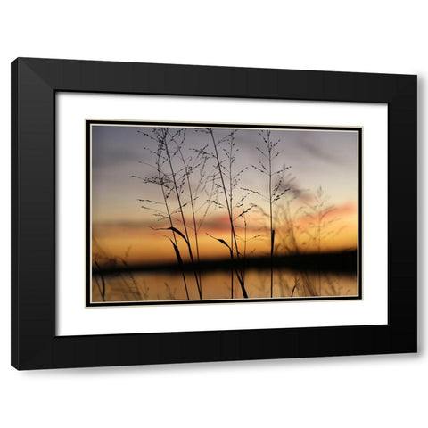 Dusk Silhouette II Black Modern Wood Framed Art Print with Double Matting by Putman, Tammy