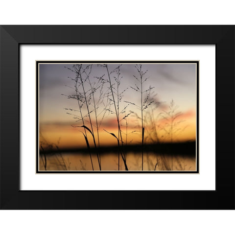 Dusk Silhouette II Black Modern Wood Framed Art Print with Double Matting by Putman, Tammy
