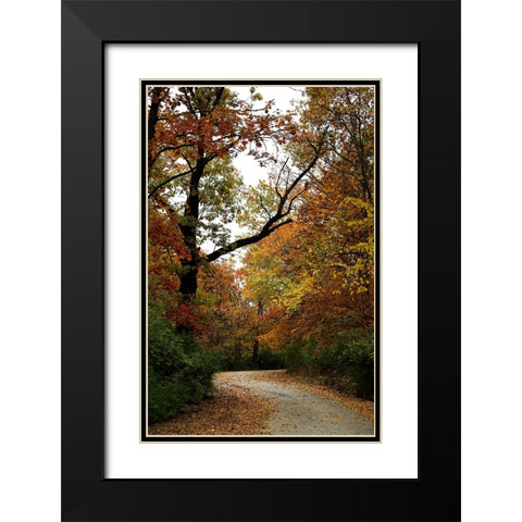 Autumn Drive Black Modern Wood Framed Art Print with Double Matting by Putman, Tammy