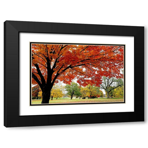 Red Fall Black Modern Wood Framed Art Print with Double Matting by Putman, Tammy