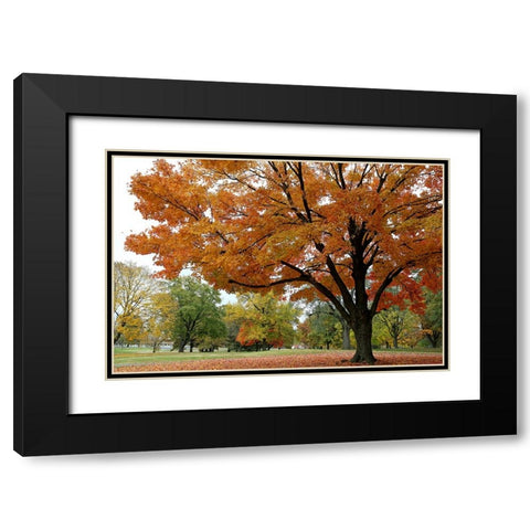 Orange Fall Black Modern Wood Framed Art Print with Double Matting by Putman, Tammy