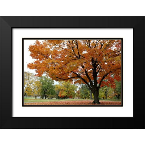 Orange Fall Black Modern Wood Framed Art Print with Double Matting by Putman, Tammy