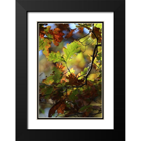 Green Andamp; Copper Black Modern Wood Framed Art Print with Double Matting by Putman, Tammy