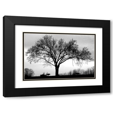 Dusk Black Modern Wood Framed Art Print with Double Matting by Putman, Tammy