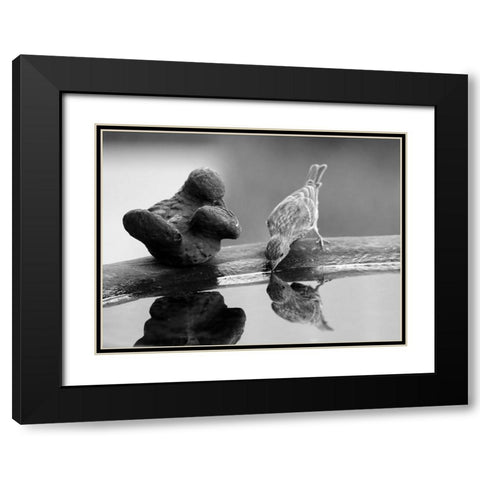 Finch II Black Modern Wood Framed Art Print with Double Matting by Putman, Tammy