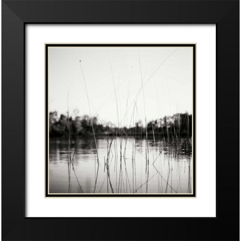 Water Grass Black Modern Wood Framed Art Print with Double Matting by Stefko, Bob