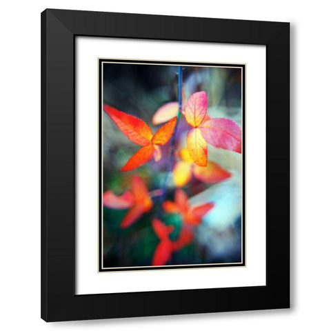Fall Leaves II Black Modern Wood Framed Art Print with Double Matting by Stefko, Bob