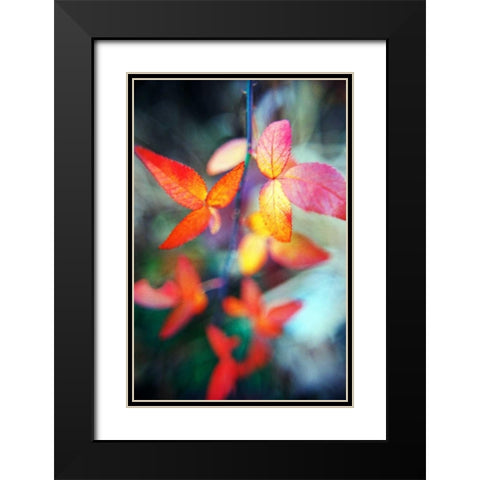 Fall Leaves II Black Modern Wood Framed Art Print with Double Matting by Stefko, Bob