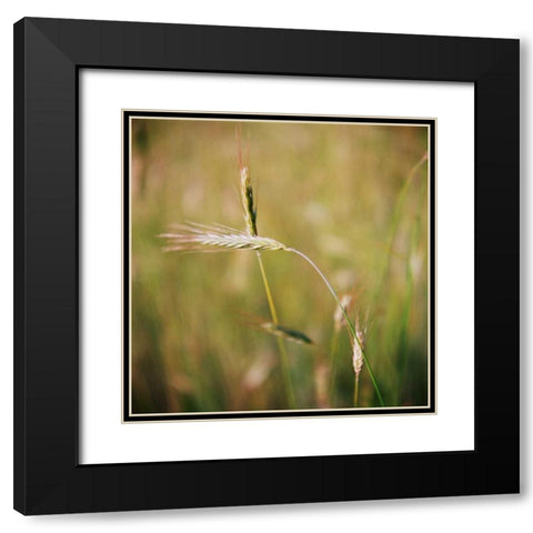Simple Organics IV Black Modern Wood Framed Art Print with Double Matting by Stefko, Bob