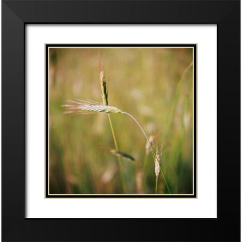 Simple Organics IV Black Modern Wood Framed Art Print with Double Matting by Stefko, Bob