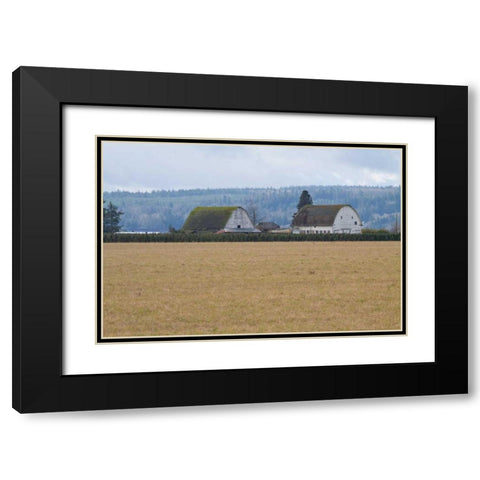 Dual Barns Black Modern Wood Framed Art Print with Double Matting by Styber, Dana