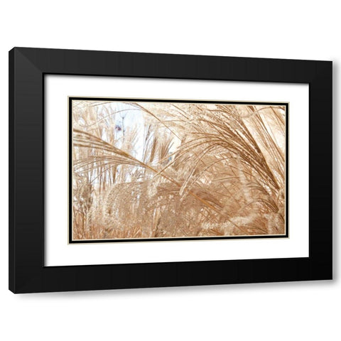 Blowing Grass I Black Modern Wood Framed Art Print with Double Matting by Styber, Dana