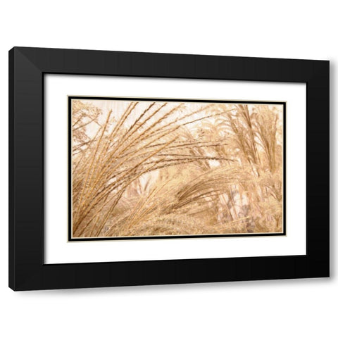 Blowing Grass II Black Modern Wood Framed Art Print with Double Matting by Styber, Dana