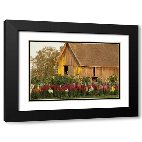 Snapdragons Barn I Black Modern Wood Framed Art Print with Double Matting by Styber, Dana