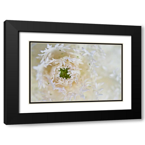Green Ornamental I Black Modern Wood Framed Art Print with Double Matting by Styber, Dana