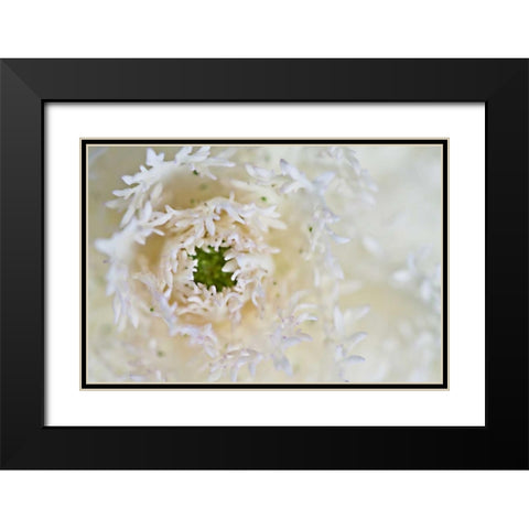 Green Ornamental I Black Modern Wood Framed Art Print with Double Matting by Styber, Dana