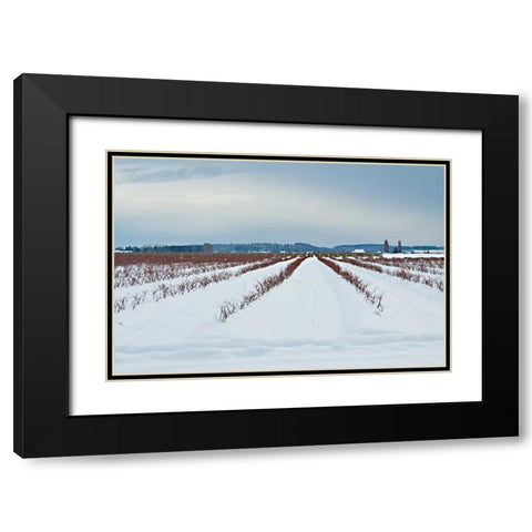 Berries Under Snow I Black Modern Wood Framed Art Print with Double Matting by Styber, Dana