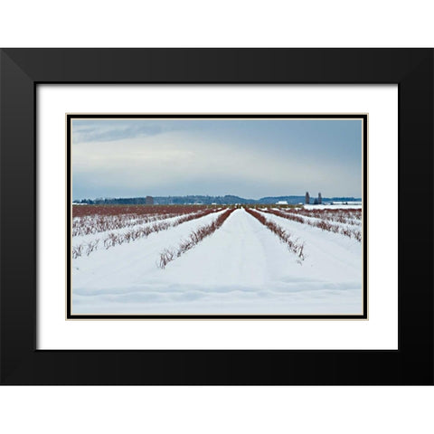 Berries Under Snow I Black Modern Wood Framed Art Print with Double Matting by Styber, Dana