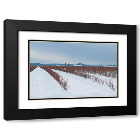 Berries Under Snow II Black Modern Wood Framed Art Print with Double Matting by Styber, Dana