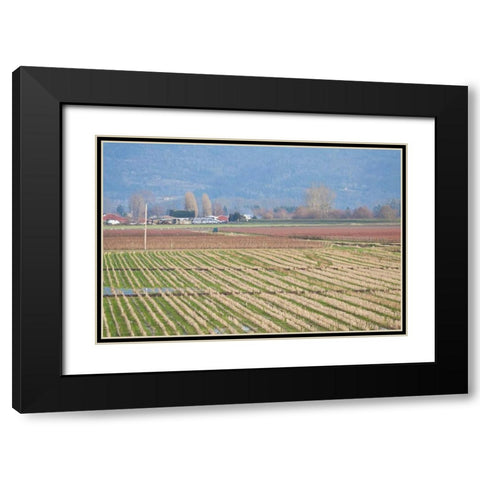 Red and Gold Fields I Black Modern Wood Framed Art Print with Double Matting by Styber, Dana