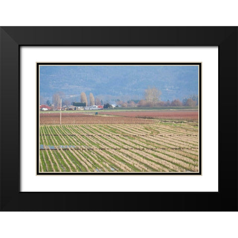 Red and Gold Fields I Black Modern Wood Framed Art Print with Double Matting by Styber, Dana