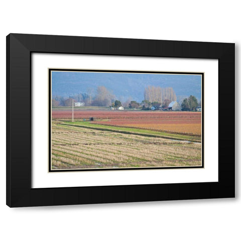 Red and Gold Fields II Black Modern Wood Framed Art Print with Double Matting by Styber, Dana