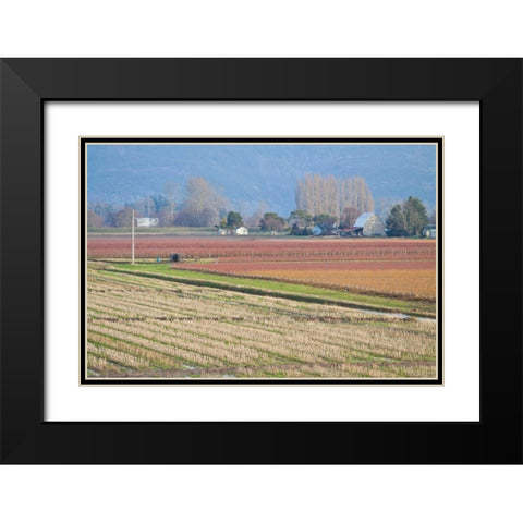 Red and Gold Fields II Black Modern Wood Framed Art Print with Double Matting by Styber, Dana