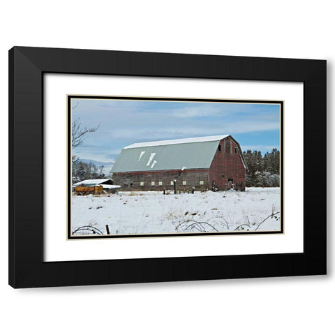 Red Barn in Winter Black Modern Wood Framed Art Print with Double Matting by Styber, Dana