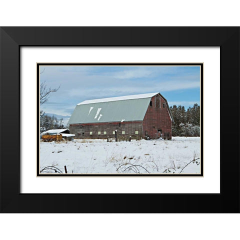 Red Barn in Winter Black Modern Wood Framed Art Print with Double Matting by Styber, Dana