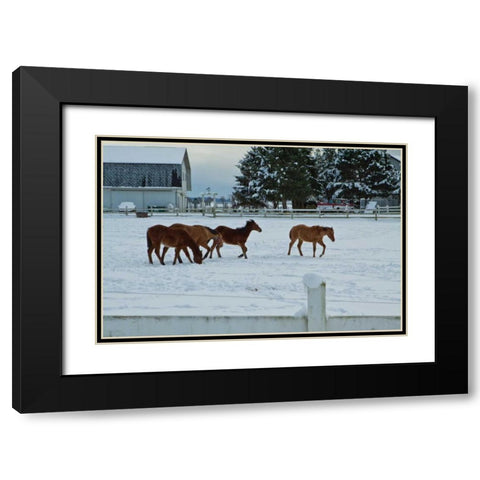 Feeling Spunky Black Modern Wood Framed Art Print with Double Matting by Styber, Dana