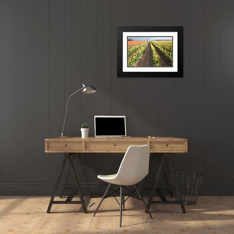 Tulips at Sunset III Black Modern Wood Framed Art Print with Double Matting by Styber, Dana