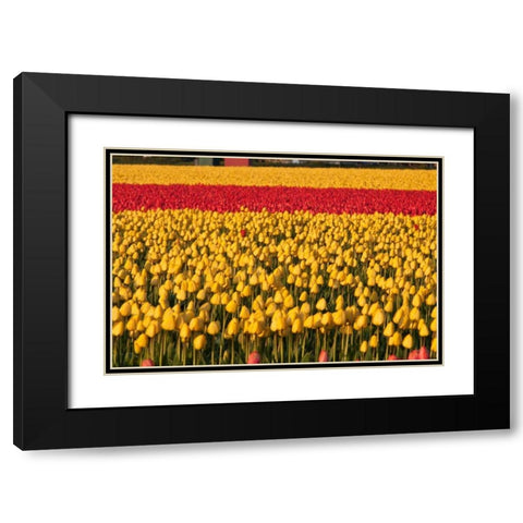 Band of Red Black Modern Wood Framed Art Print with Double Matting by Styber, Dana